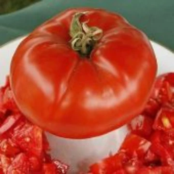 Church Tomato Seeds