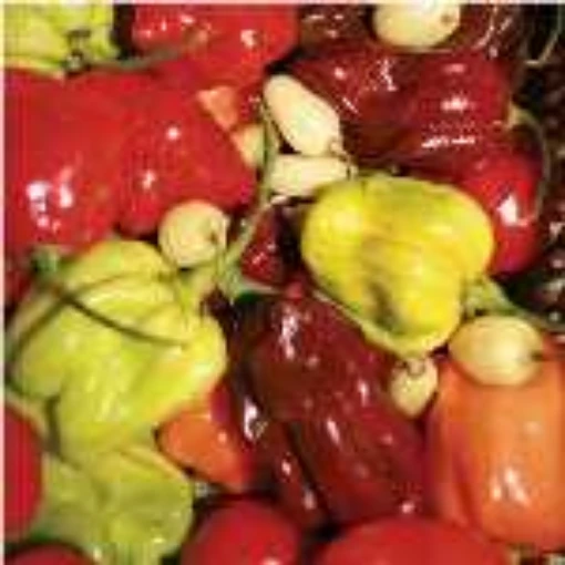 Habanero Hot Pepper Mix HP2058-20