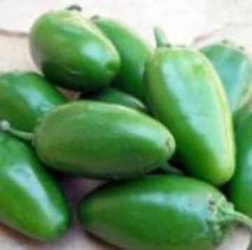 NuMex Jalmundo Pepper Seeds