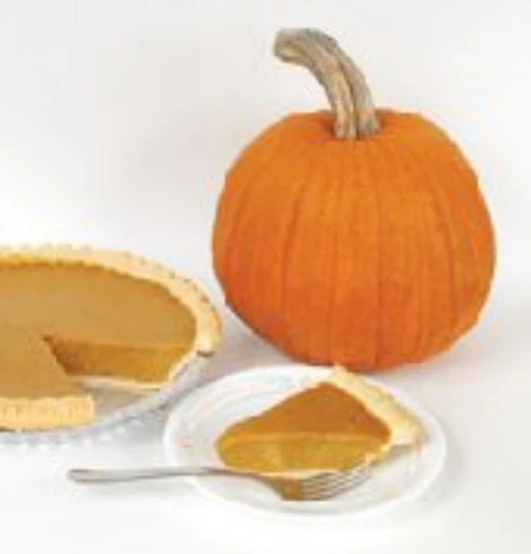 New England Pie Pumpkins PM10-20