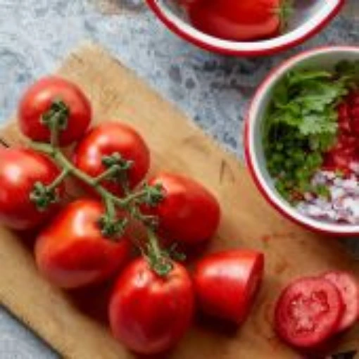 Fresh Salsa Tomato TM769-10