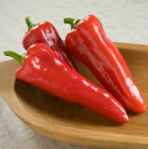 Carmen Sweet Peppers  SP319-10 