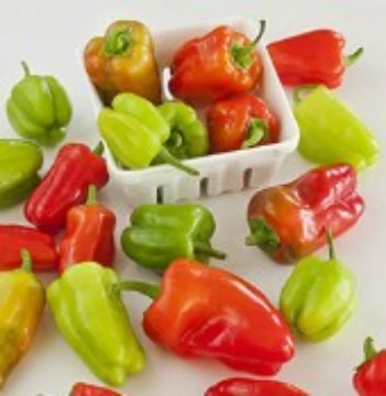 Cajun Belle Pepper Seeds