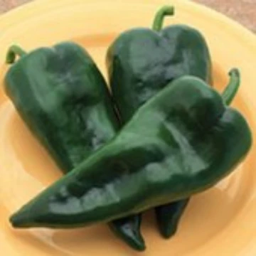 Mosquetero Pepper Seeds