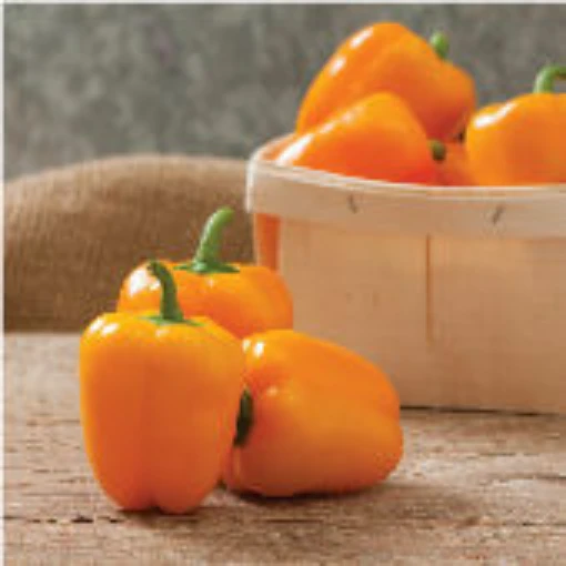Eros Sweet Peppers  SP321-10 