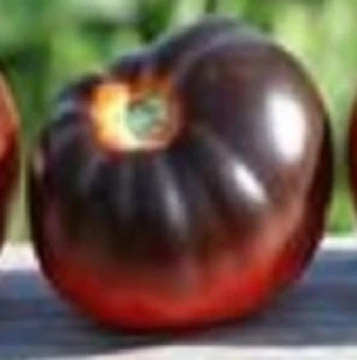 Blue Streaks Tomato Seeds