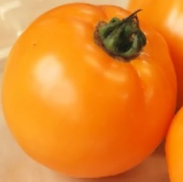 Gold Dust Tomato Seeds