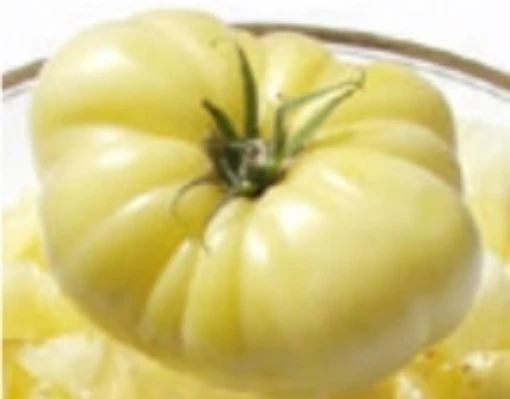 Halfmoon Tomato TM808-10