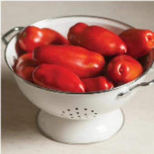 Tiren Tomato TM816-10