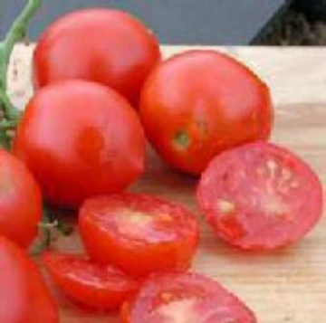 Glacier Tomato Seeds