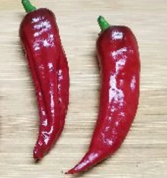 Chilcostle Rojo Pepper Seeds