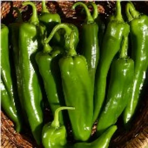 Sonora Hot Peppers HP222-10