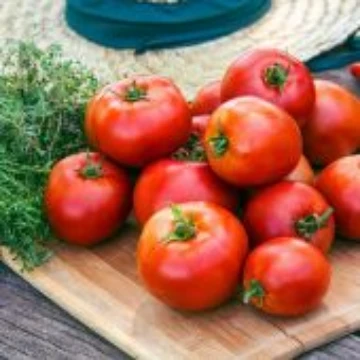 Big League Tomato Seeds