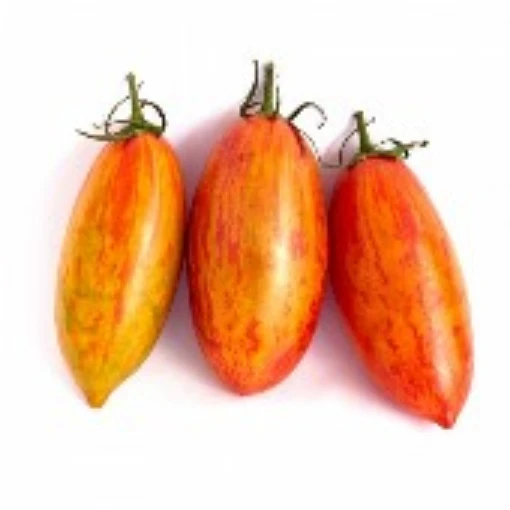 Sunset Falls Tomato TM864-10