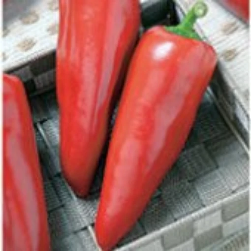 Red Crest Sweet Peppers SP323-10