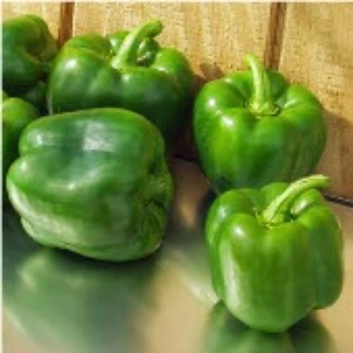 Aristotle Sweet Peppers SP325-10
