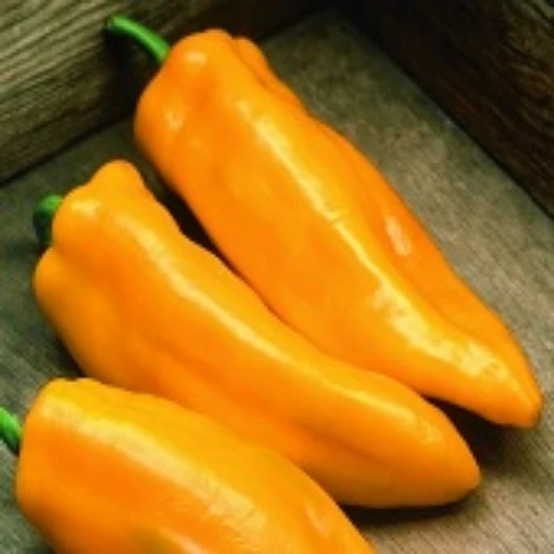 Mama Mia Giallo Sweet Peppers SP335-10_Base