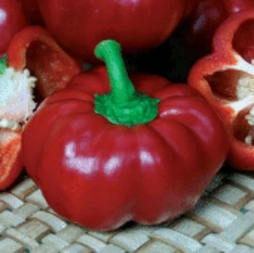 Pritavit Sweet Peppers SP337-10