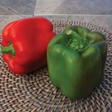 Touchdown Pepper Seeds