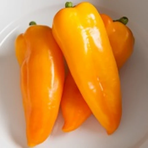 Cornito Giallo Peppers