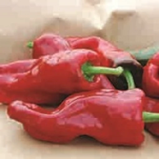 Melrose Sweet Peppers SP364-20