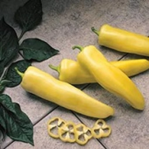 Pageant Sweet Peppers  SP365-20_Base 