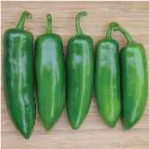 Tricked You Jalapeno Peppers HP2424-10