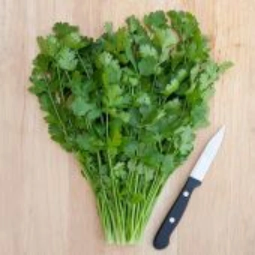 Leisure Coriander HB93-100