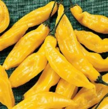 Hot Lemon Pepper Seeds