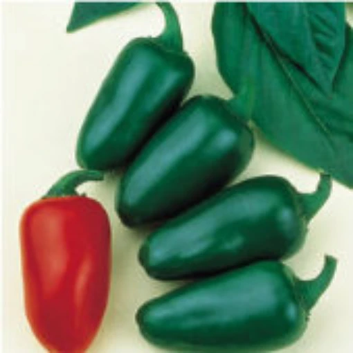 Mitla Hot Peppers HP156-20