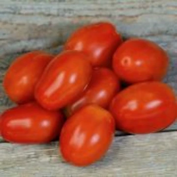 Tomato F | Reimer Seeds