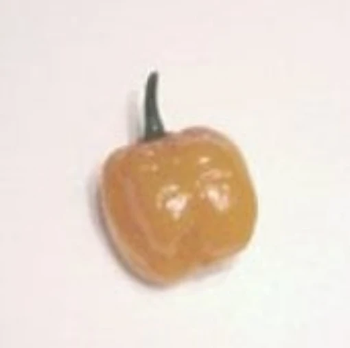Habanero Hot Peppers (Yucatan) HP1080-10