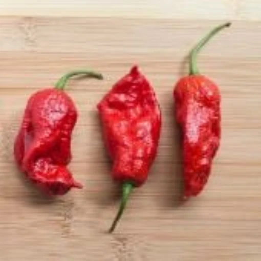 Naga Viper Hot Peppers HP2282-5