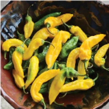 Bhut Jolokia Ghost Golden Pepper Seeds