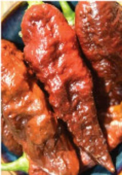 Bhut Jolokia Ghost Chocolate Pepper Seeds