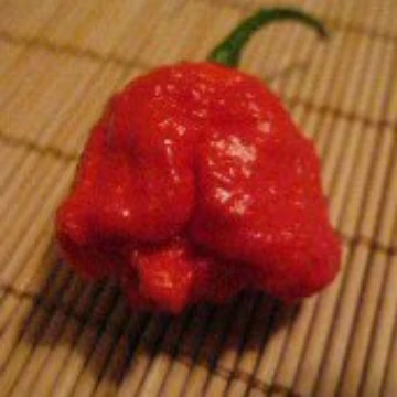 7 Pot Brain Strain Red Pepper Seeds