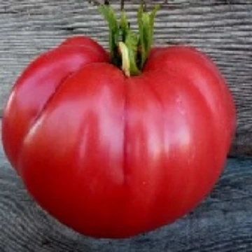 Kosovo Tomato Seeds