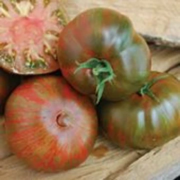 Large Barred Boar Tomato Seeds