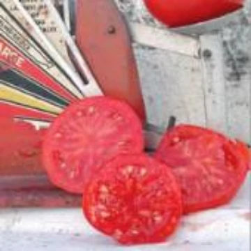 Slava Tomato Seeds