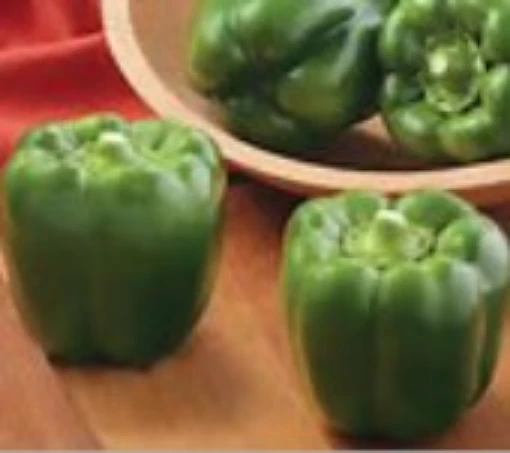 Bayonet Sweet Peppers SP371-10