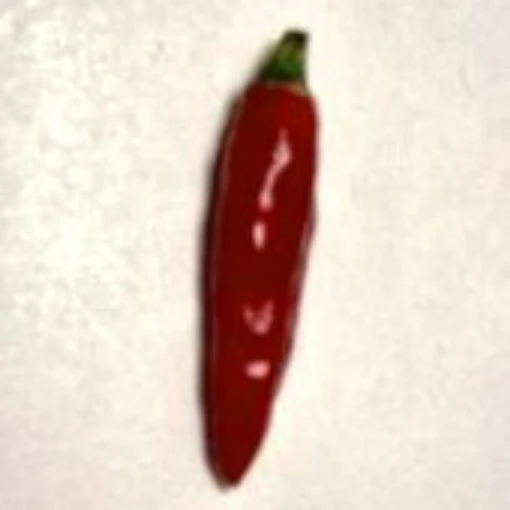 Uganda Hot Peppers HP1058-20