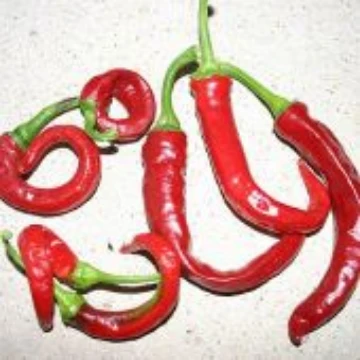 Aji Cacho de Cabra Pepper Seeds