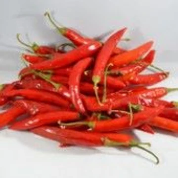 Island Hellfire Pepper Seeds