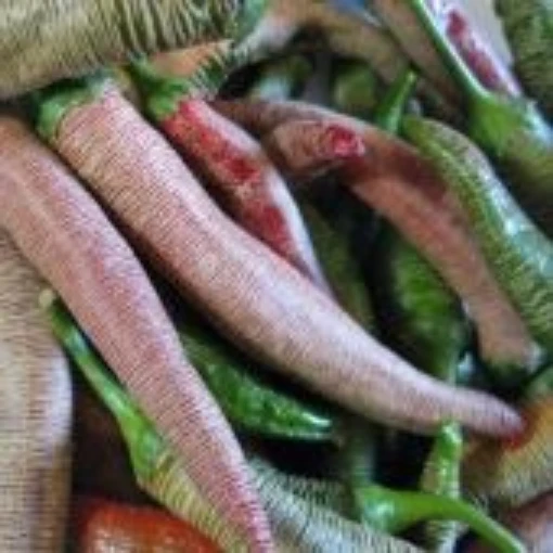Rezha Macedonian Hot Peppers HP2387-10