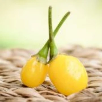 Wiri Wiri Yellow Pepper Seeds