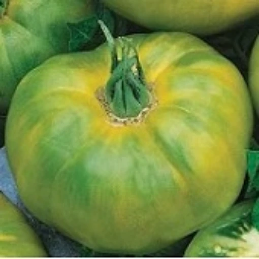 Chef's Choice Green Tomato TM850-20