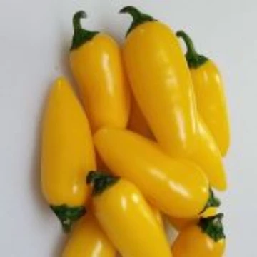NuMex Lemon Spice Jalapeno Pepper Seeds