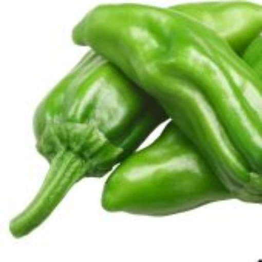 Italian Pepperoncini Peppers SP282-20