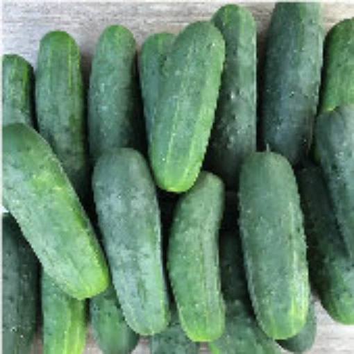 Super Max Cucumbers CU126-20