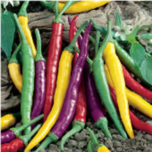 Cayenne Fiesta Blend Peppers HP2432-20